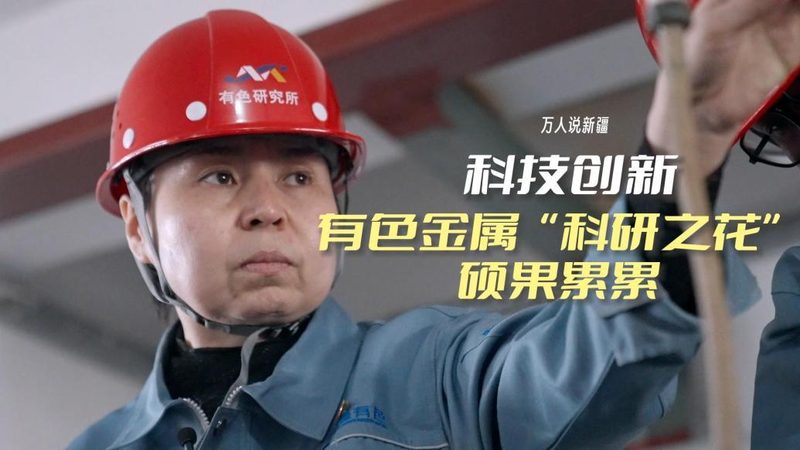 数据治理案例分享会：揭秘企业高效数据管理的秘诀